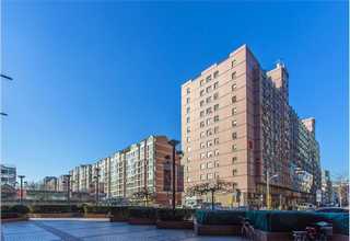 诗山灭白蚁公司