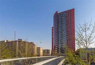 泉州胚胎血缘检测怎么做